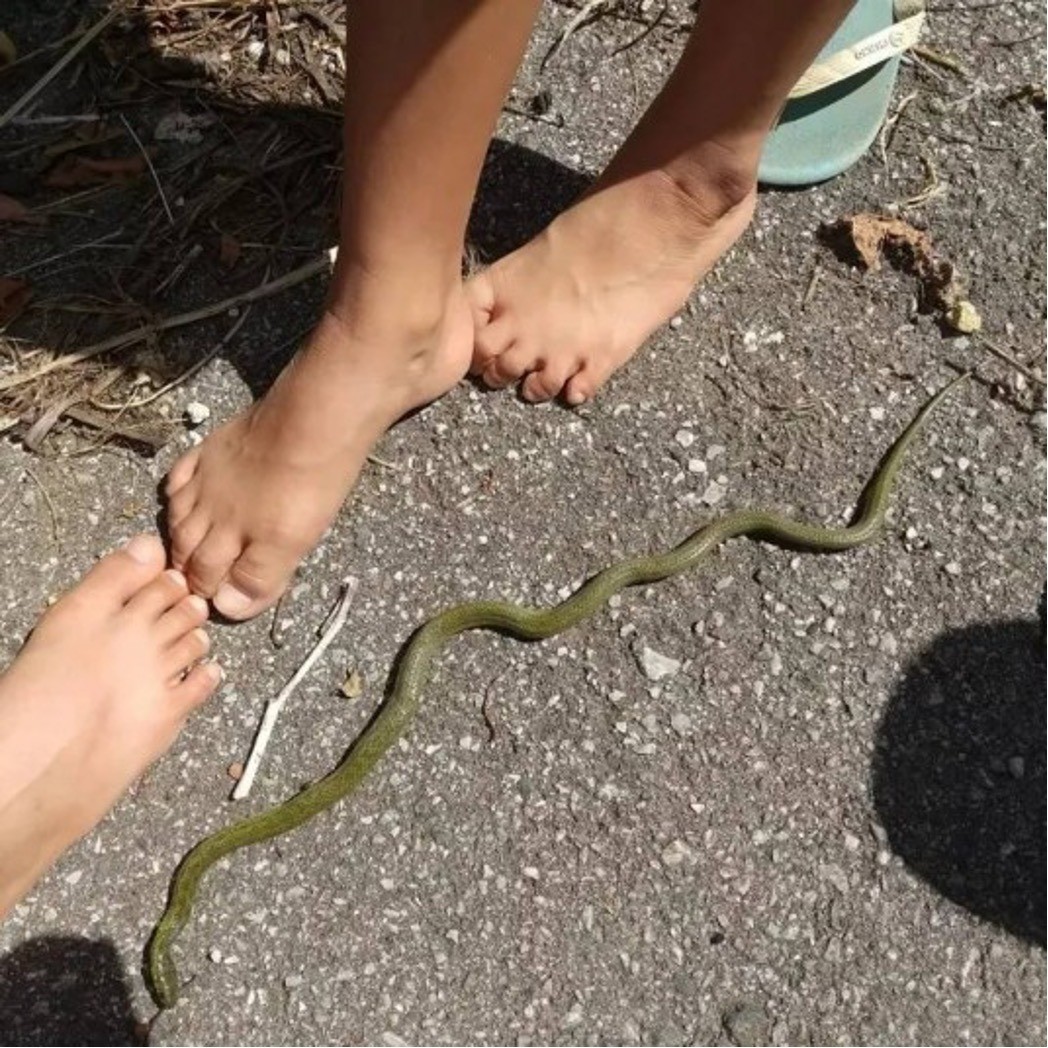 156005c5baf40ff51a327f1c34f2975b-1749803898.jpg 156005c5baf40ff51a327f1c34f2975b-1749803898.jpg