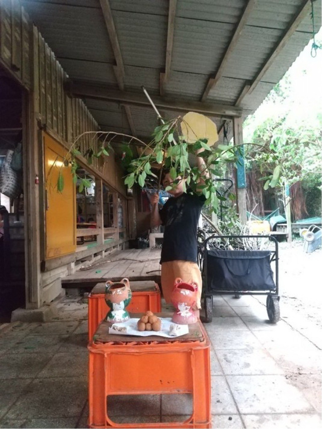 156005c5baf40ff51a327f1c34f2975b-1749804502.jpg 156005c5baf40ff51a327f1c34f2975b-1749804502.jpg