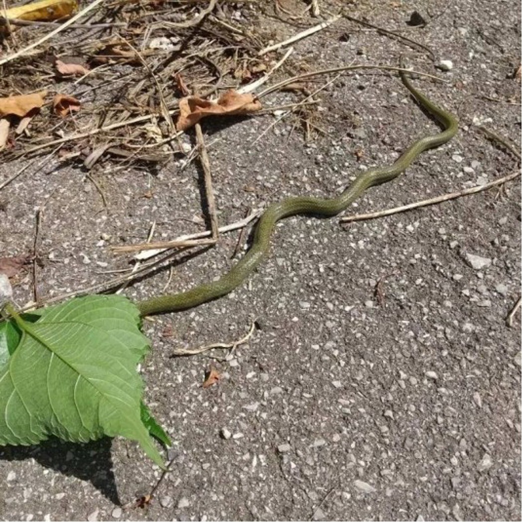 799bad5a3b514f096e69bbc4a7896cd9-1749803902.jpg 799bad5a3b514f096e69bbc4a7896cd9-1749803902.jpg