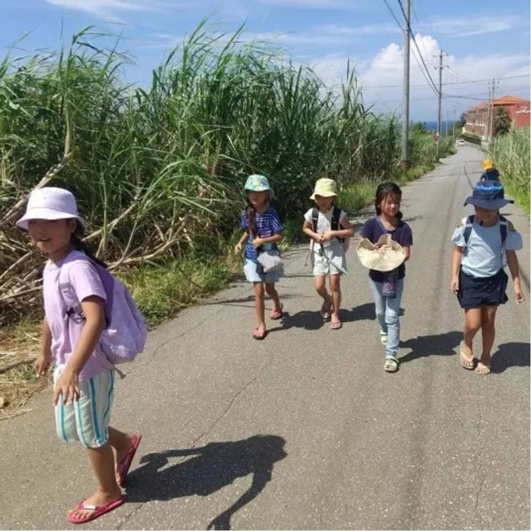 ca67b6d6de8743846d1864a33be8c6d7-1749803893.jpg ca67b6d6de8743846d1864a33be8c6d7-1749803893.jpg