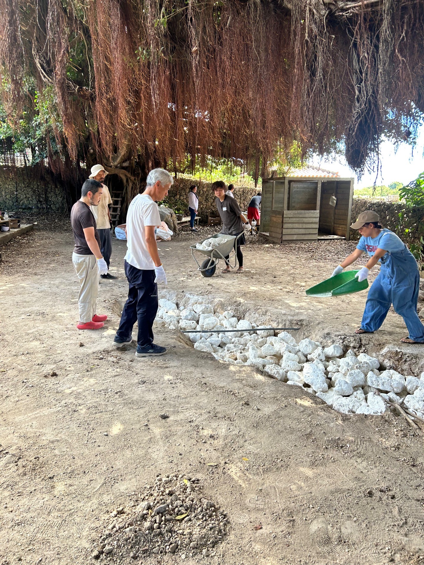 e5080e8a87fa7c9e10cbf60dea71da19-1761123190.jpeg e5080e8a87fa7c9e10cbf60dea71da19-1761123190.jpeg