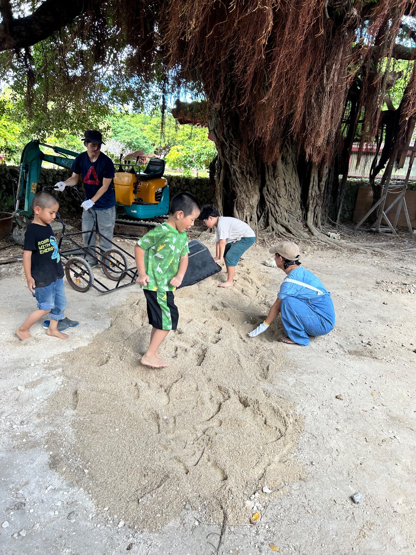 9108d3104ed6e6995cc5b3d560fe50b9-1761123238.jpeg 9108d3104ed6e6995cc5b3d560fe50b9-1761123238.jpeg