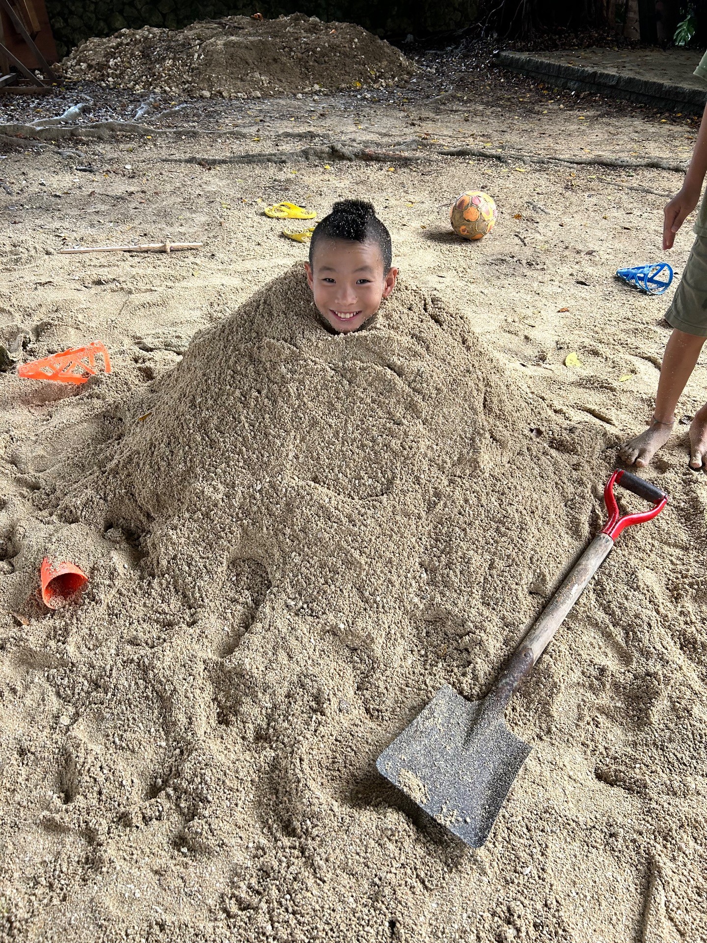 0412aaaed65bc8a817f1991d16de03fd-1761123281.jpeg 0412aaaed65bc8a817f1991d16de03fd-1761123281.jpeg