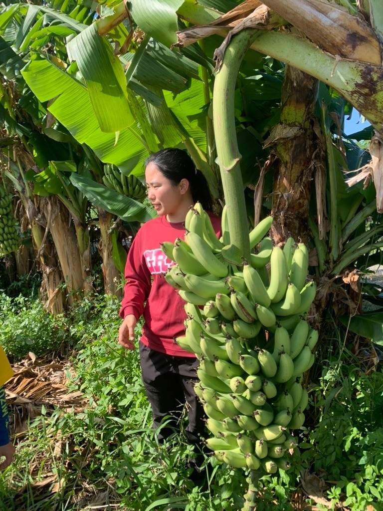 bdb4e7c2fcb835e6b1a5e2aaa163dc62-1765430900.jpeg bdb4e7c2fcb835e6b1a5e2aaa163dc62-1765430900.jpeg