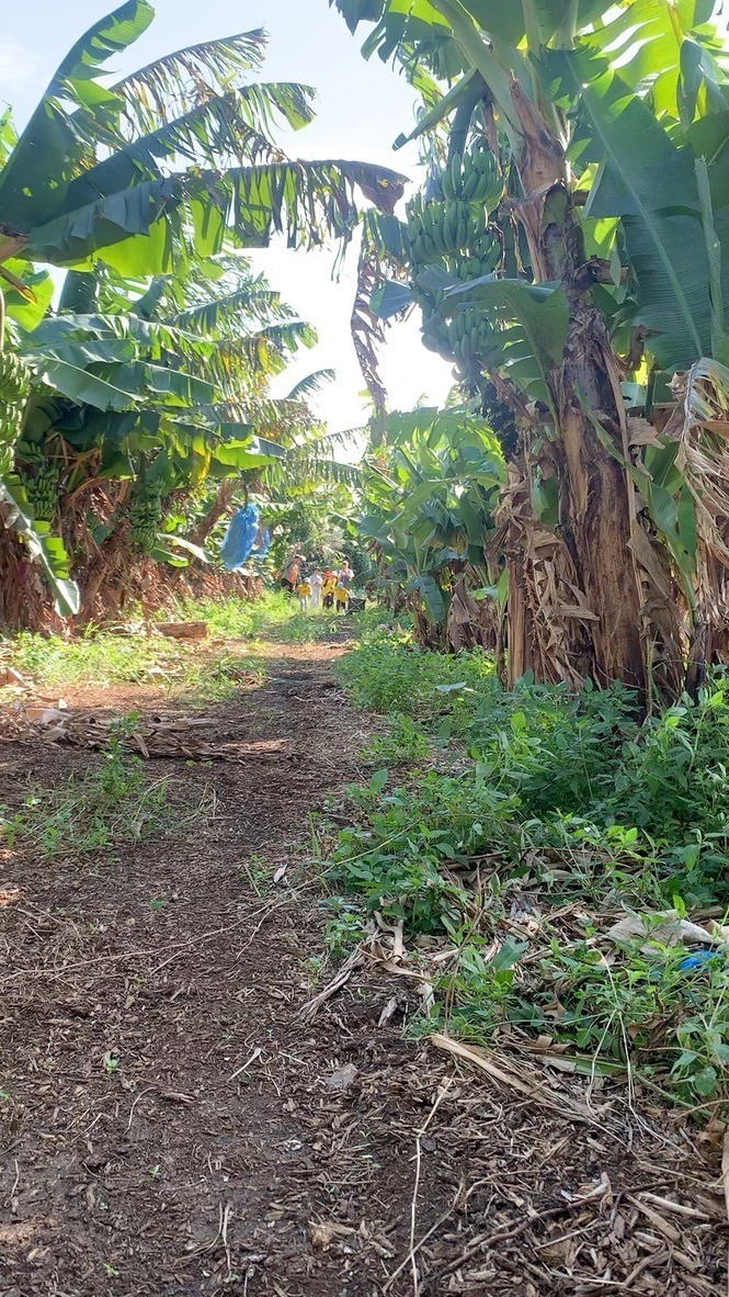 7bcf531a81a296ca5feaad40c8804f7e-1765430892.jpeg 7bcf531a81a296ca5feaad40c8804f7e-1765430892.jpeg