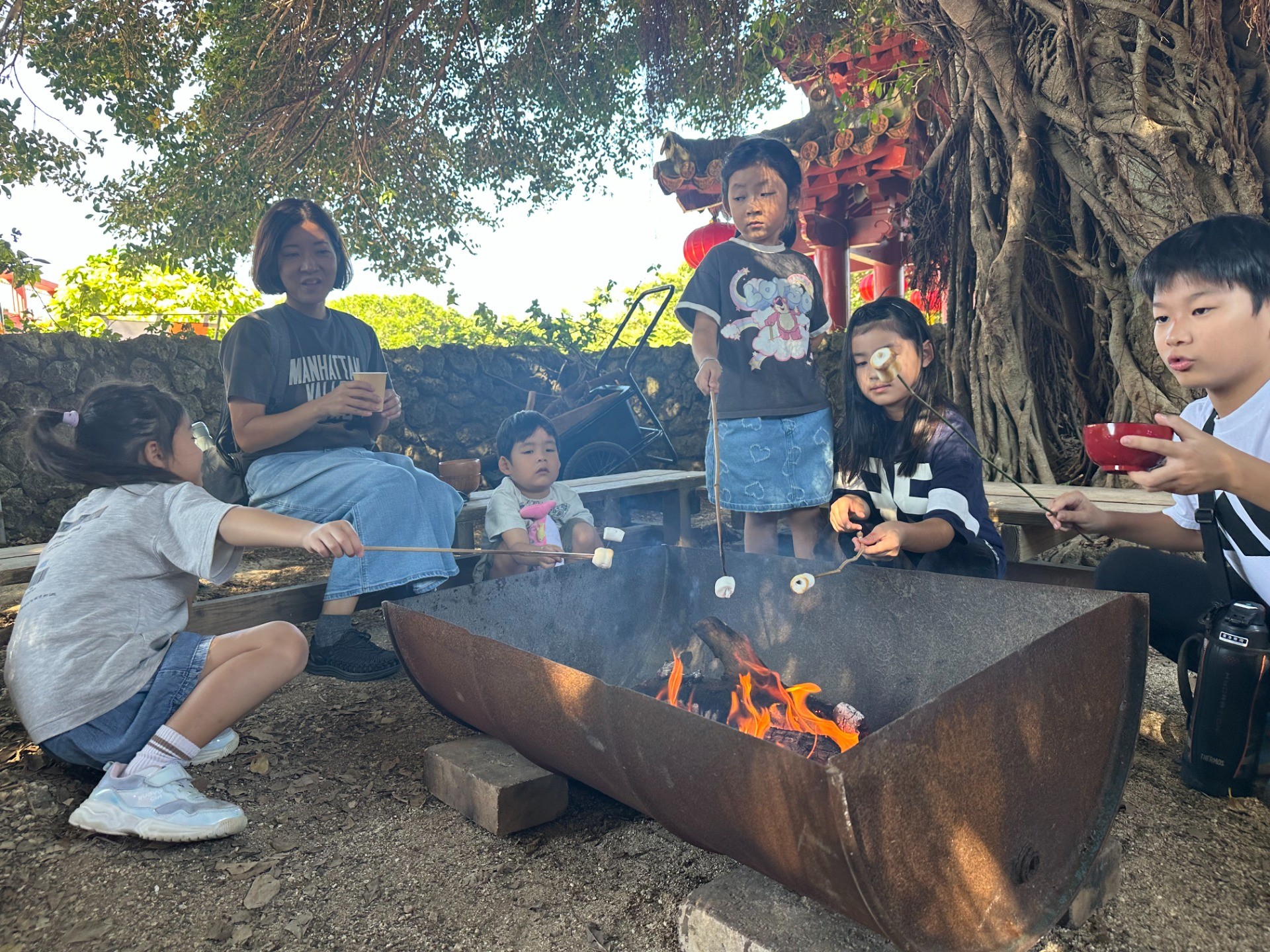 35ffa6e445f403113d0e7d5d7361f58c-1765257881.jpeg 35ffa6e445f403113d0e7d5d7361f58c-1765257881.jpeg