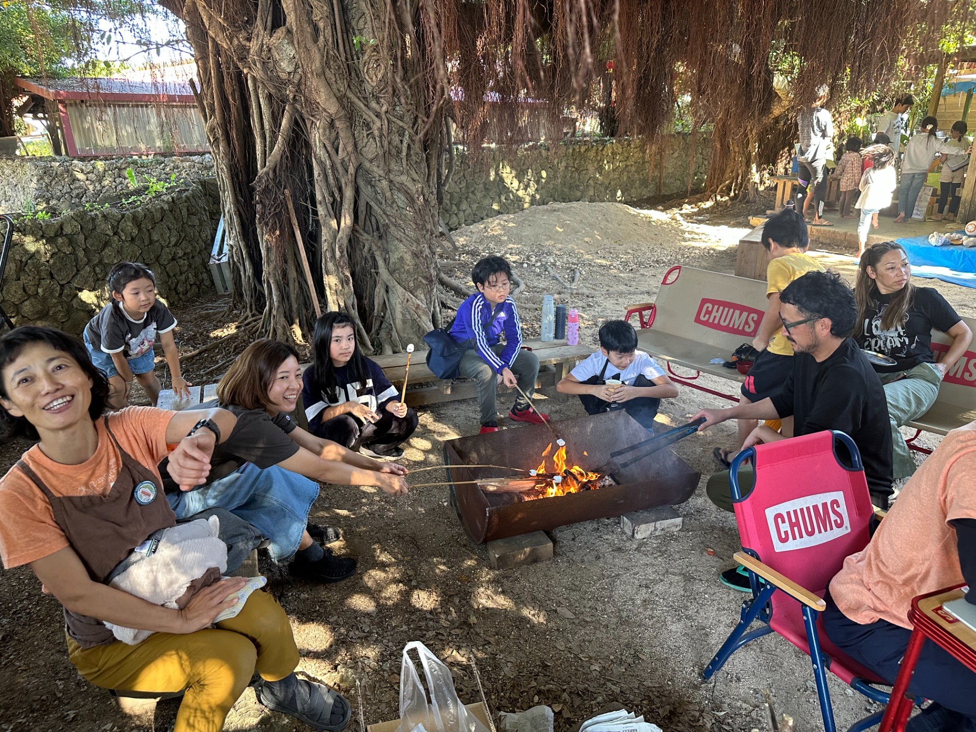 f946cfb6f38864a6178be6f37abf7fb9-1765257902.jpeg f946cfb6f38864a6178be6f37abf7fb9-1765257902.jpeg