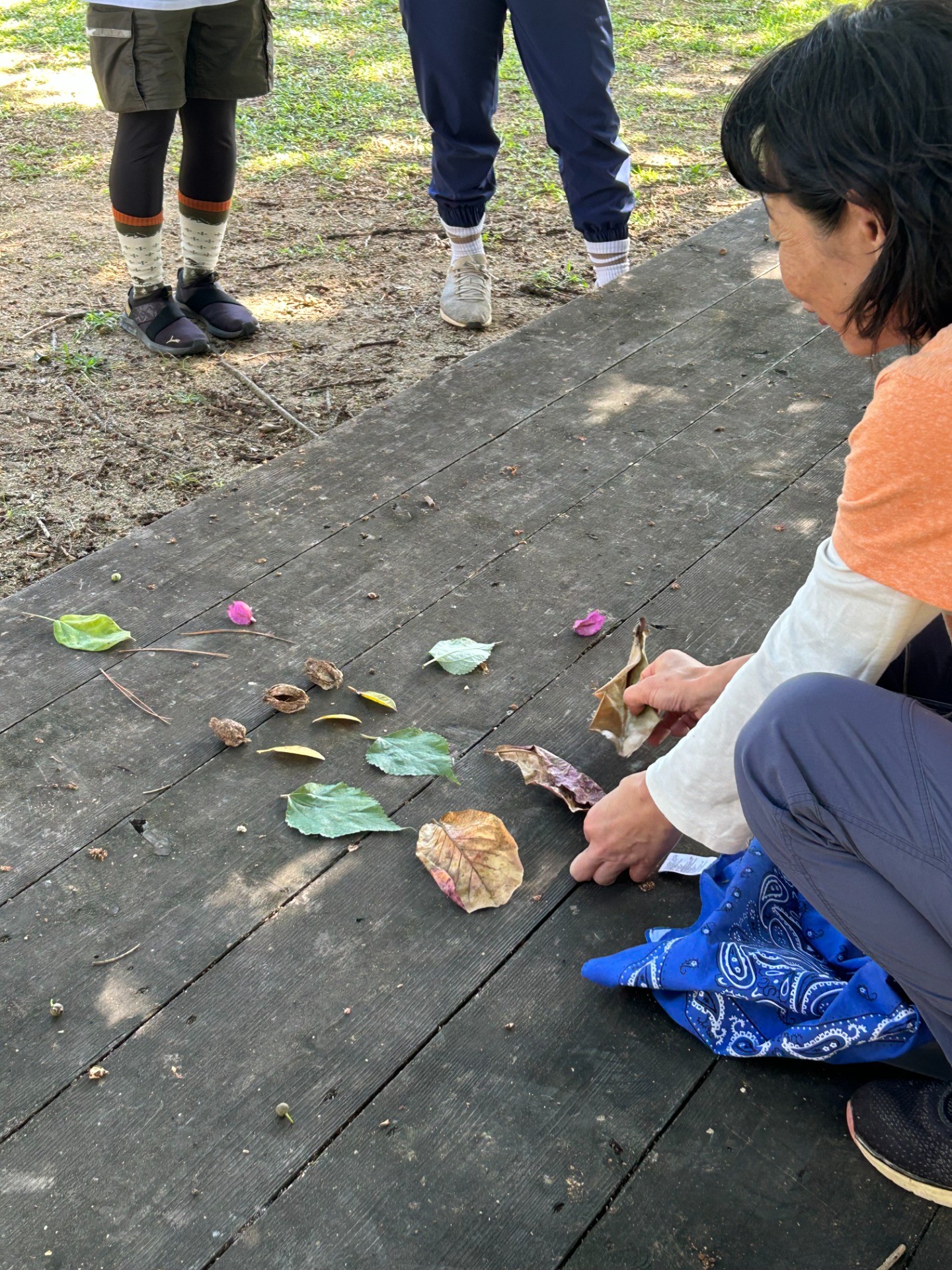 c26c6e6d7a11c2f52cb1d5b0a44f35da-1769566289.jpeg c26c6e6d7a11c2f52cb1d5b0a44f35da-1769566289.jpeg