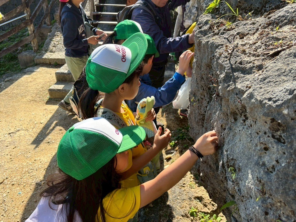 ef4a1e3c3262c94a20f76122c88035dd-1772007188.jpeg ef4a1e3c3262c94a20f76122c88035dd-1772007188.jpeg