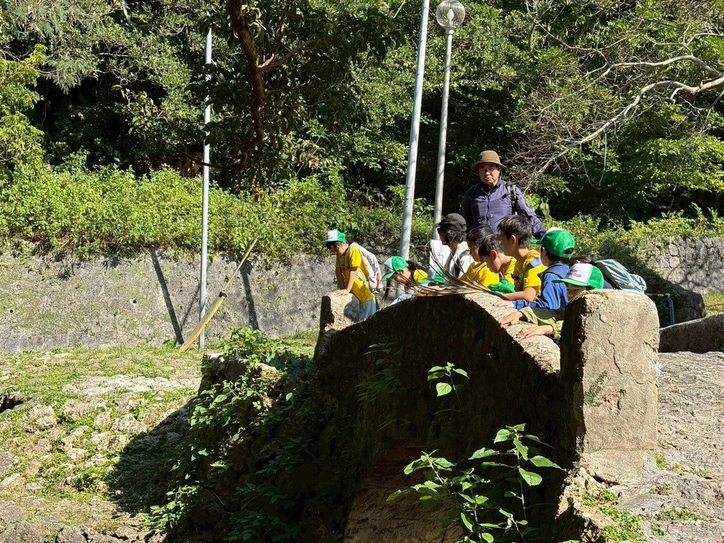 50e96422a8fb79efff71a3f7a06cdff2-1772007212.jpeg 50e96422a8fb79efff71a3f7a06cdff2-1772007212.jpeg