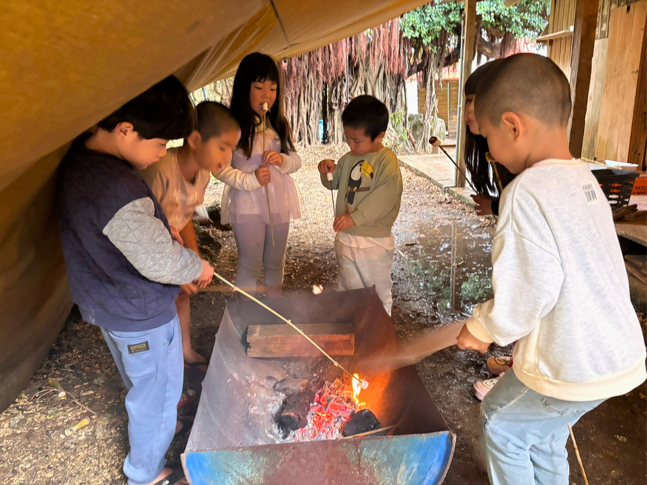 03cd33cec0a41da10d2ede05feaea25d-1772004030.png 03cd33cec0a41da10d2ede05feaea25d-1772004030.png