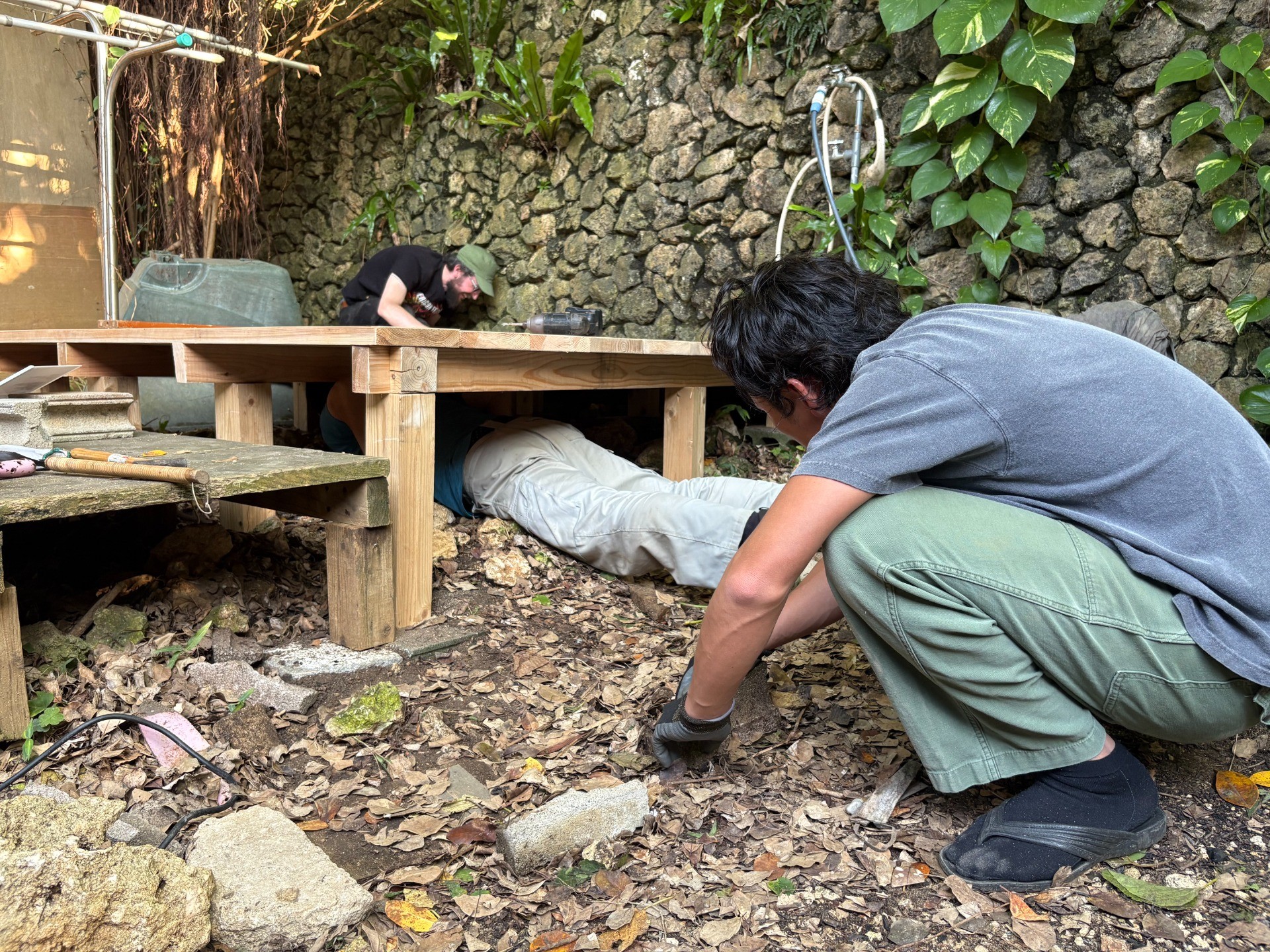 1fde3fa4686df8f5e1f63f9c19199dc6-1775717748.jpeg 1fde3fa4686df8f5e1f63f9c19199dc6-1775717748.jpeg