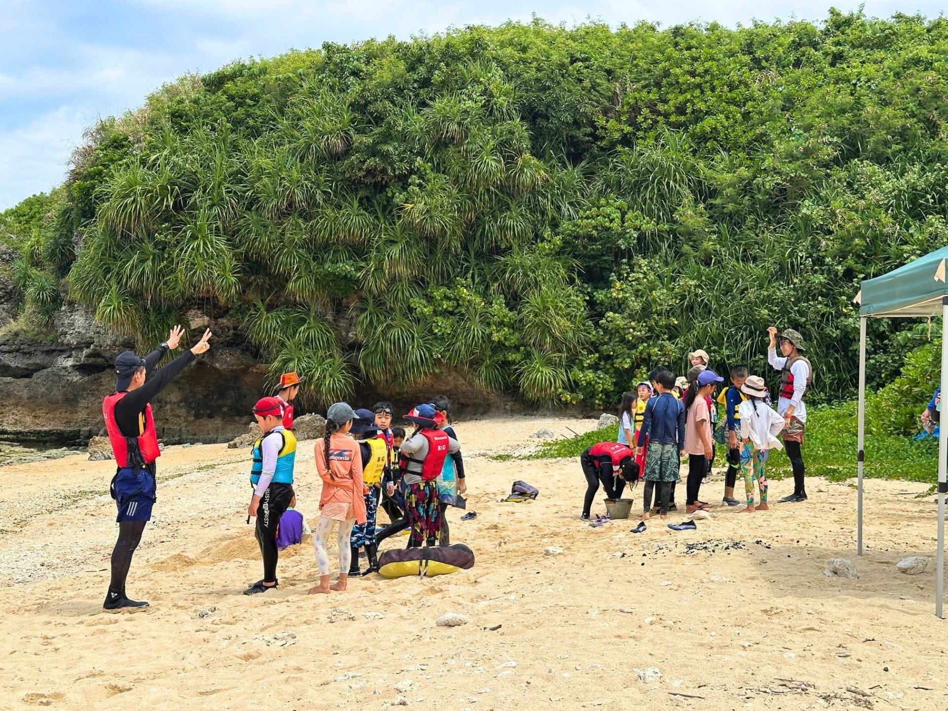 95992b29dcf51026f312b905f0f0f9d9-1779850485.jpg 95992b29dcf51026f312b905f0f0f9d9-1779850485.jpg