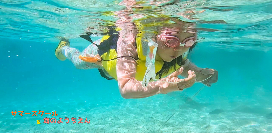 サマースクール&海のようちえん2026　開校のお知らせ